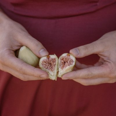 Workshop Síndrome de Ovários Poliquísticos (SOP)